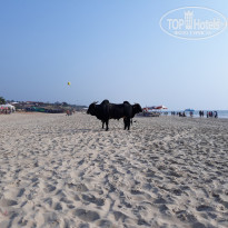 фото из отзыва ID 1676367