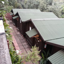 фото из отзыва ID 1676367