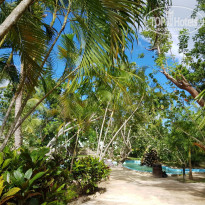 фото из отзыва ID 1676413