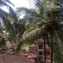 фото из отзыва ID 1676418