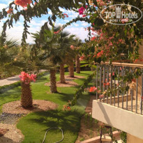 фото из отзыва ID 1676586