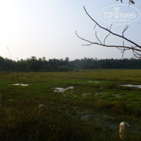 фото из отзыва ID 1676592