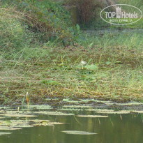 фото из отзыва ID 1676592