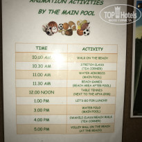 фото из отзыва ID 1676164