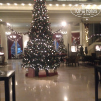 фото из отзыва ID 1676683