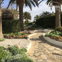 фото из отзыва ID 1676748