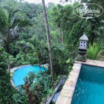 фото из отзыва ID 1676794