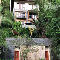 фото из отзыва ID 1676794