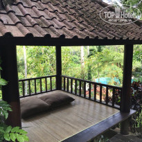 фото из отзыва ID 1676794