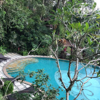 фото из отзыва ID 1676794