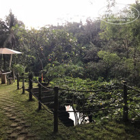 фото из отзыва ID 1676794