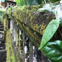 фото из отзыва ID 1676794