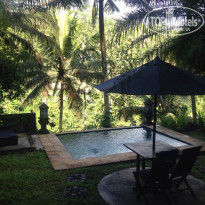 фото из отзыва ID 1676794