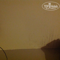 фото из отзыва ID 1676855