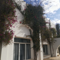 фото из отзыва ID 1676921