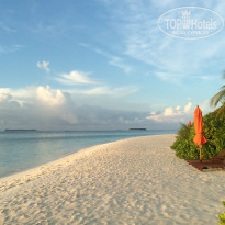 фото из отзыва ID 1676941