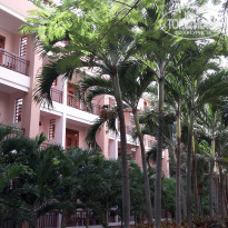 фото из отзыва ID 1676809