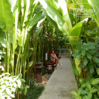 фото из отзыва ID 1677057