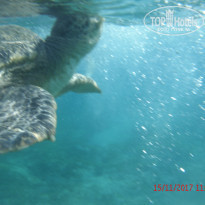 фото из отзыва ID 1677072