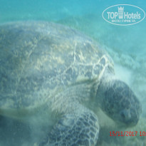 фото из отзыва ID 1677072