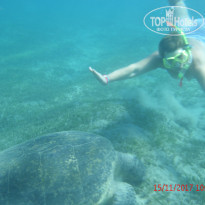 фото из отзыва ID 1677072