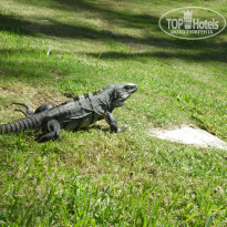 фото из отзыва ID 1677095