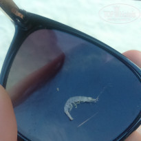 фото из отзыва ID 1677148