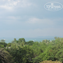 фото из отзыва ID 1677201