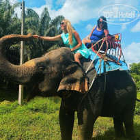 фото из отзыва ID 1677228