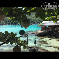 фото из отзыва ID 1677228