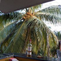 фото из отзыва ID 1677316