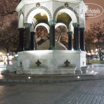 фото из отзыва ID 1677317