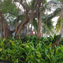 фото из отзыва ID 1677341