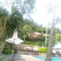 фото из отзыва ID 1677359