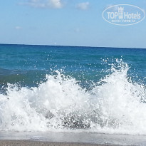 фото из отзыва ID 1677466