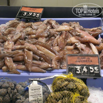 фото из отзыва ID 1677493