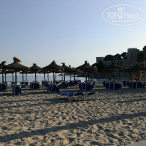 фото из отзыва ID 1677493