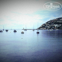 фото из отзыва ID 1677493