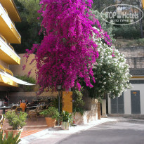 фото из отзыва ID 1677493