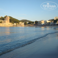 фото из отзыва ID 1677493