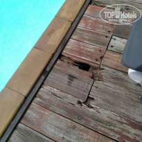 фото из отзыва ID 1677206