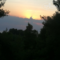 фото из отзыва ID 1677527