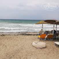 фото из отзыва ID 1677527