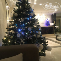 фото из отзыва ID 1677559