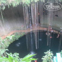 фото из отзыва ID 1677669