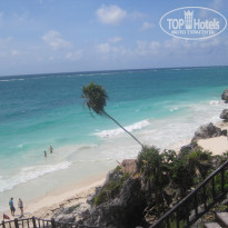 фото из отзыва ID 1677669