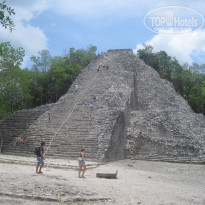 фото из отзыва ID 1677669