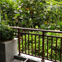 фото из отзыва ID 1677718