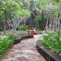 фото из отзыва ID 1677718