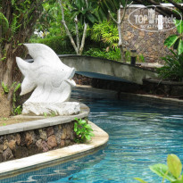 фото из отзыва ID 1677718